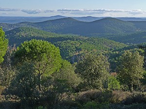 Sierra-Tentudía © John Muddeman