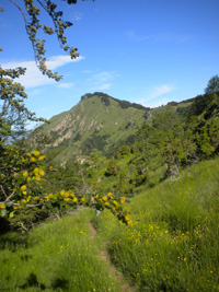 Comanegra, La Garrotxa, Catalonia © Mike Lockwood