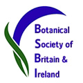 BSBI logo