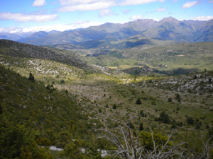 Looking north from Serra de Sant Gervás