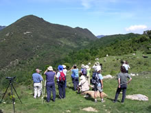 Vulture watching on a walk in La Garrotxa © Phil Blatcher