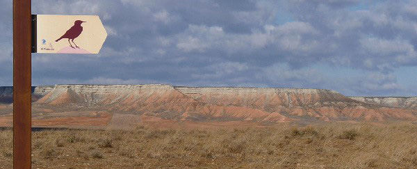  - belchite-landscape-duponts-lark